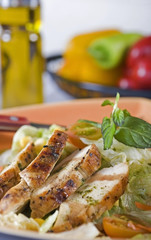 Chicken salad with vegetables in background