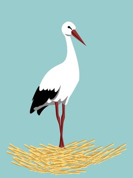 Cigogne