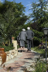 Compagni