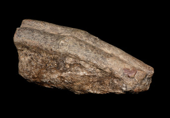 Cruziana (trilobite footprints) © natursports