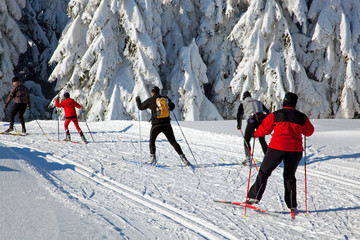 skifahren 4545