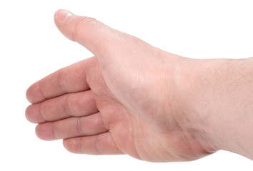 empty hand palm