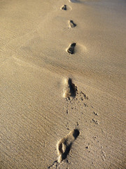 Fototapeta na wymiar Sand Footprints