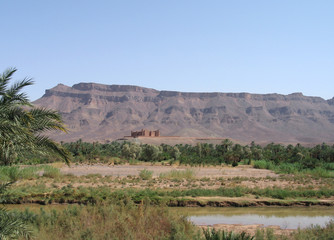 oasis et kasbah au maroc