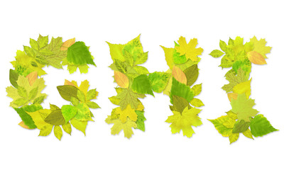 Alphabet - letters with a green leaves