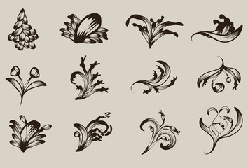 Hand drawn detailed floral ornament collection - 20326616