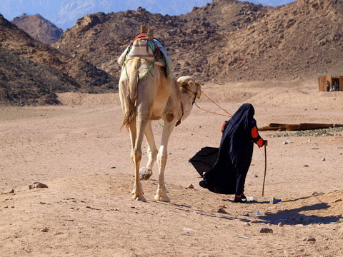 Reisen in der Wüste