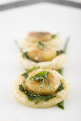 Scallop appetizer