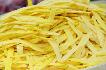 Feuerbohne - runner bean 04