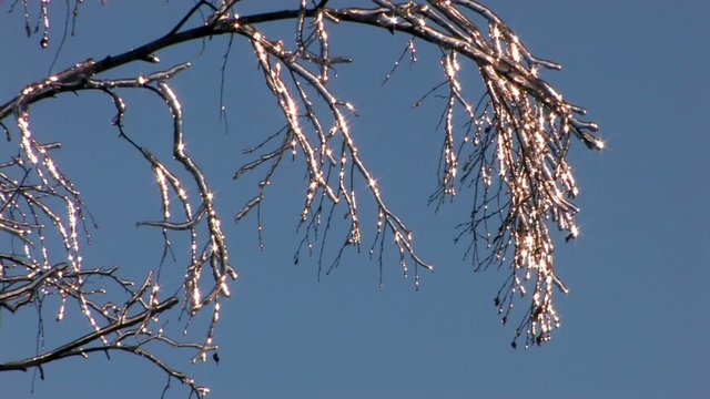 HD Lonely frozen cristal twig on blue sky background, closeup