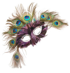 Mardi gras mask