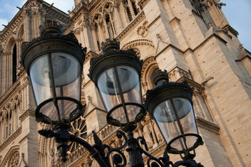 Fototapeta na wymiar lantern isolated against the facade of Notre Dame de Paris