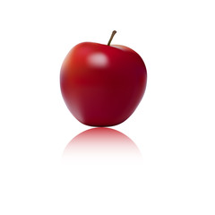 red apple vector illustration