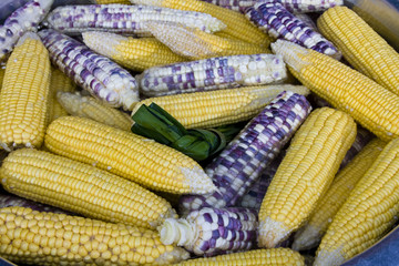Corn boil in a saucepan on the market in Thailand