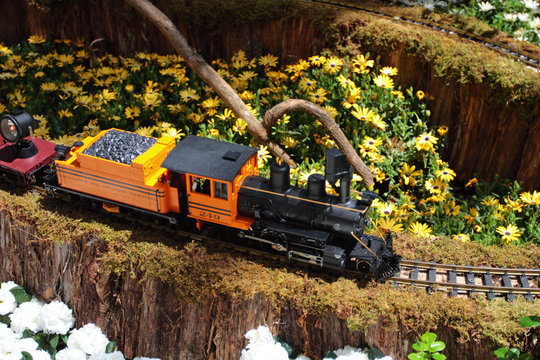 Miniature model locomotive..