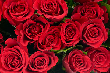 Red roses