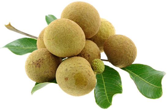 fruits Longanis, oeil du dragon, fond blanc