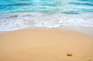 ocean wave and tropical beach