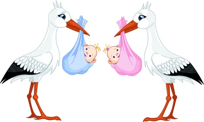 Foto op Plexiglas two storks delivering a newborn babies © Anna Velichkovsky
