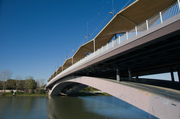 Obraz premium Pasarela de la Cartuja, Sevilla