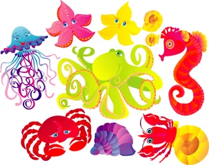 Tafelkleed Veel verschillende zeedieren, vectorillustratie © MarinadeArt
