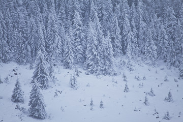 Winter scenery in the mountains