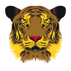 tiger