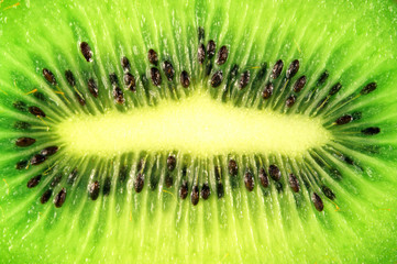 Kiwi close-up