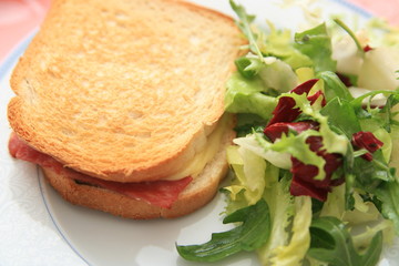 croque salade