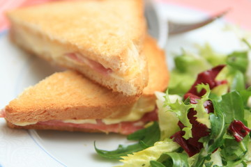 croque salade