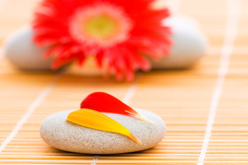 Red flower and stack of spa pebbles