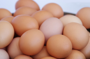 chicken eggs