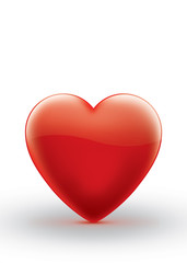 Kalp İllüstrasyonu