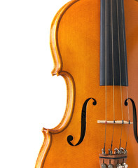 body of violin with copy space
