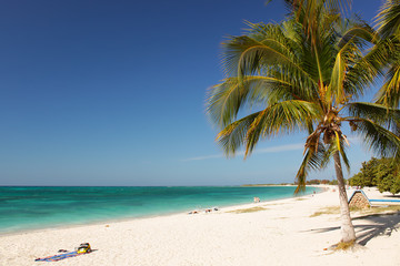 Caribbean Island Paradise