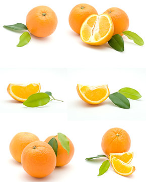Isolated orange collection
