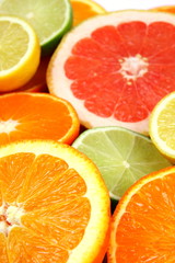 Fototapeta na wymiar Citrus Fruits