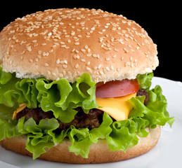 Tasty hamburger