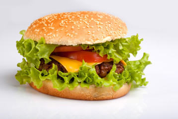 Tasty hamburger