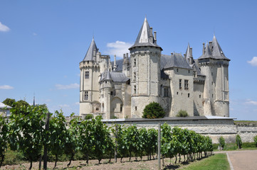 Fototapeta na wymiar Château de Saumur, Francja
