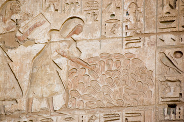 Ancient Egyptian war dead
