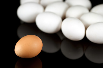One brown egg and some white chicken eggs on reflecting black ba
