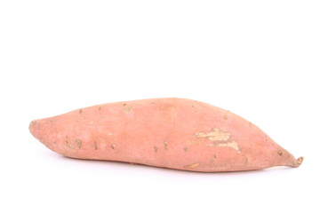 Sweet potato / 甘薯