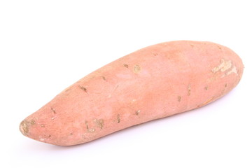 Sweet potato / 甘薯