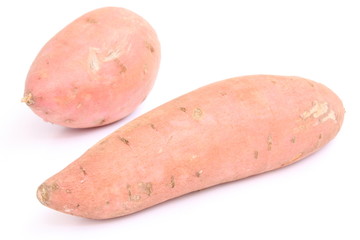 Sweet potato / 甘薯