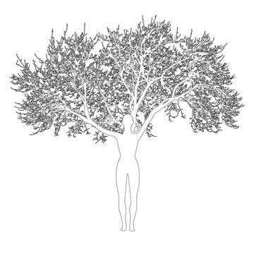 mother nature vector