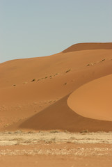 Fototapeta na wymiar dune sea of the Namib desert