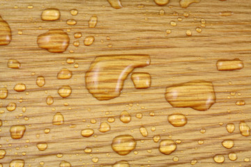 nervures gaine intérieure palmier