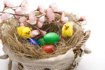 Osternest mit Küken