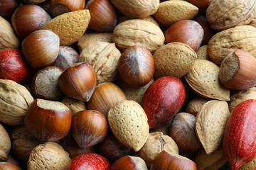 NOIX, NOISETTE, AMANDES sur planche en chêne - (#7)
